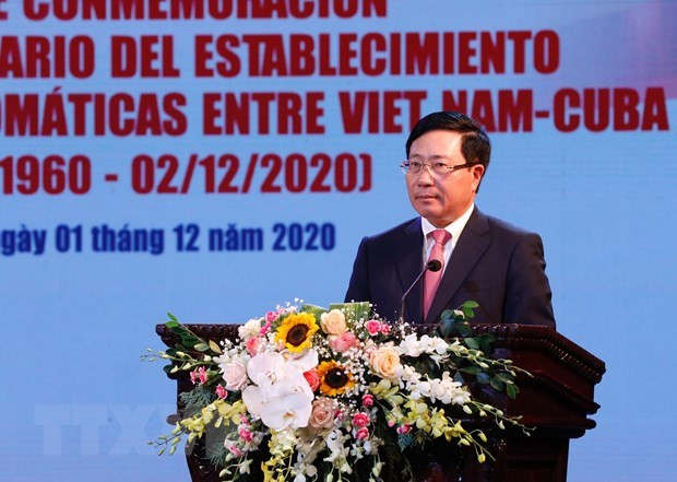 Vietnam treasures solidarity, friendship with Cuba: Deputy PM